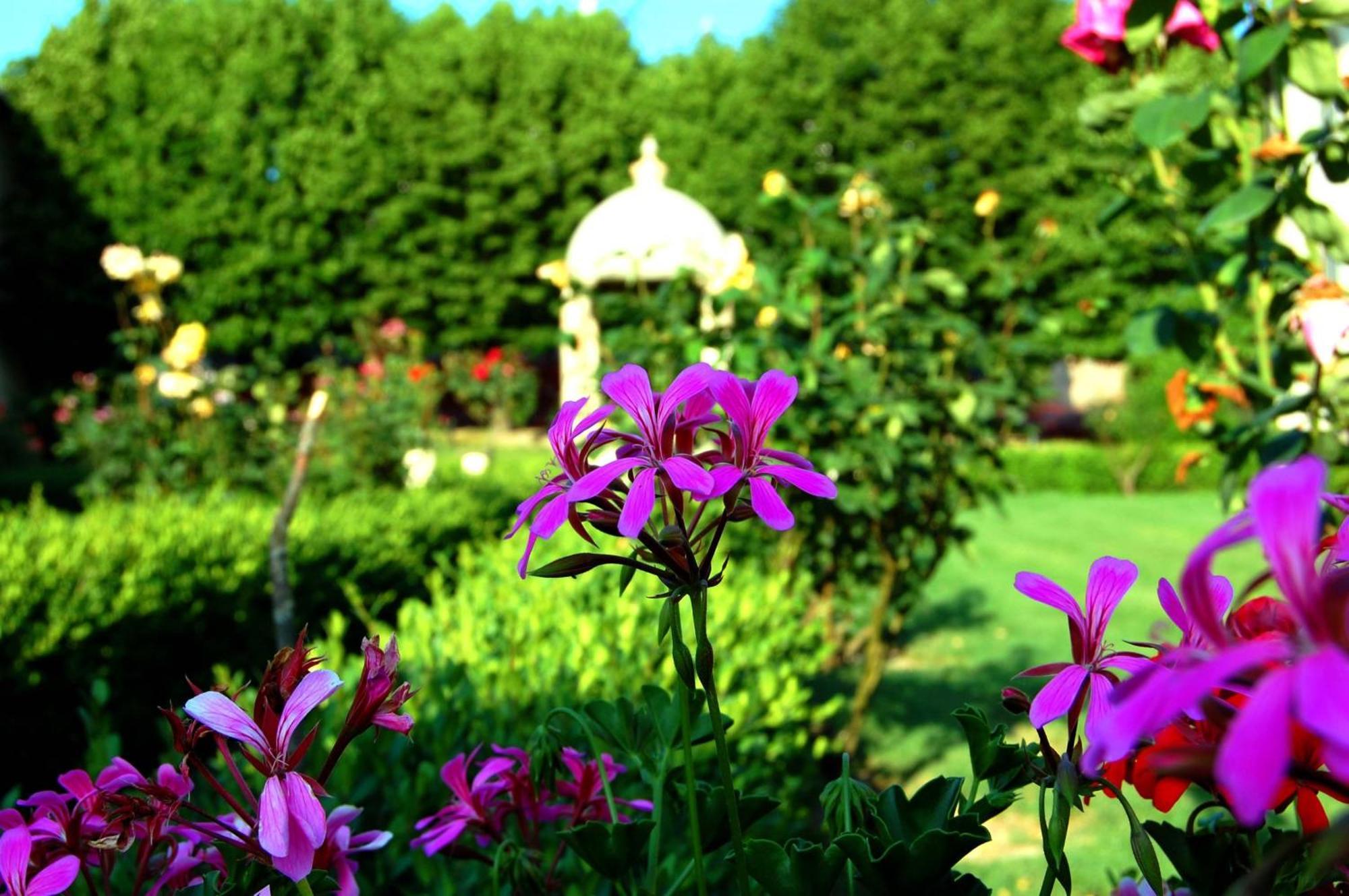 Hotel San Donino Città di Castello
